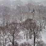 Snow Emergency Information